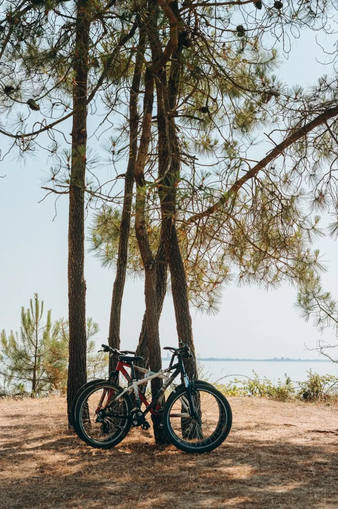 Vélos le long de la plage de Gatseau sur l'île d'Oléron